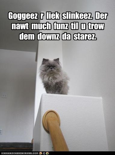 Goggeez  r  liek  slinkeez.  Der  nawt  much  funz  til  u  trow  dem  downz  da  starez.