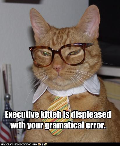 Executive kitteh is displeased with your gramatical error.