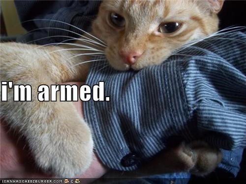 i'm armed.