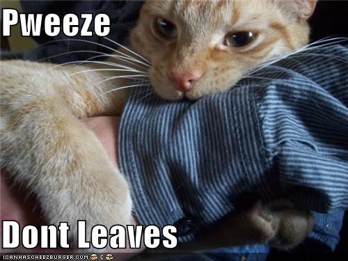 Pweeze  Dont Leaves