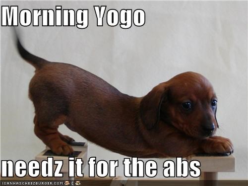 Morning Yogo  needz it for the abs
