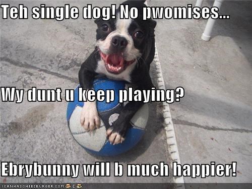 Teh single dog! No pwomises... Wy dunt u keep playing? Ebrybunny will b much happier!