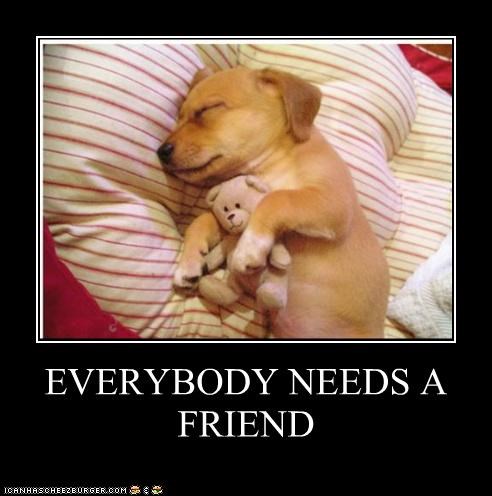EVERYBODY NEEDS A FRIEND