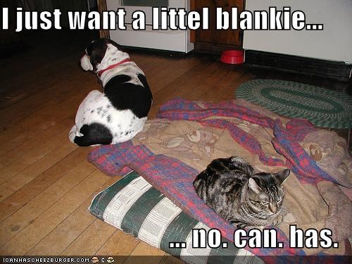 I just want a littel blankie...  ... no. can. has.