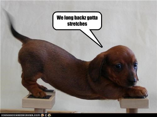 We long backz gotta stretches
