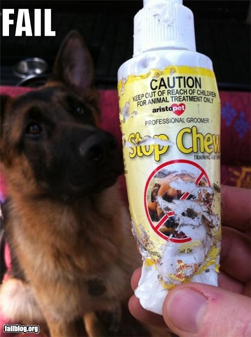 Pet Product FAIL