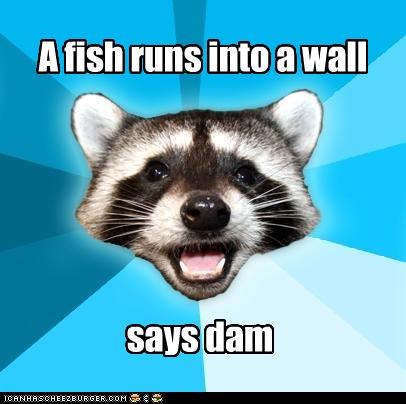 Lame Pun Coon - Fish