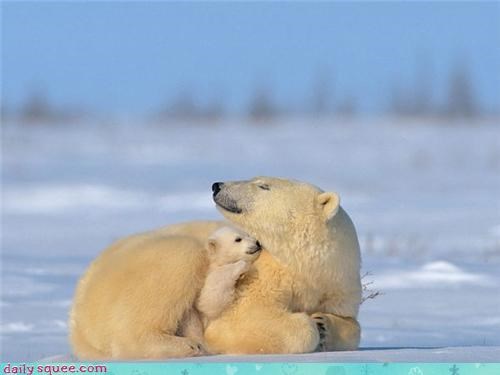 Polar Mommy!