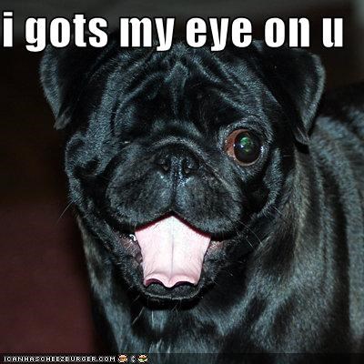i gots my eye on u