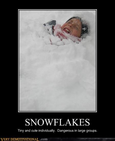 SNOWFLAKES