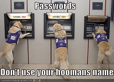 Passwords  Don't use your hoomans name