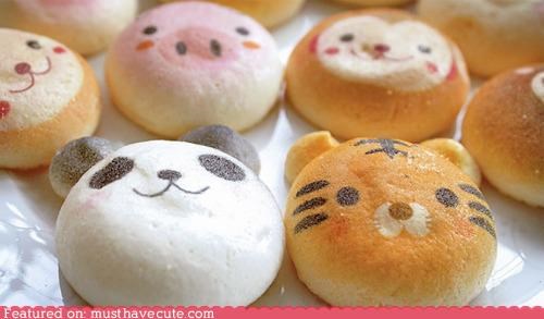 Epicute: The Cutest Animal Buns on the Planet