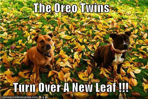 The Oreo Twins  Turn Over A New Leaf !!!