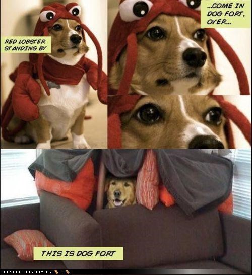 We r superhero goggiez!