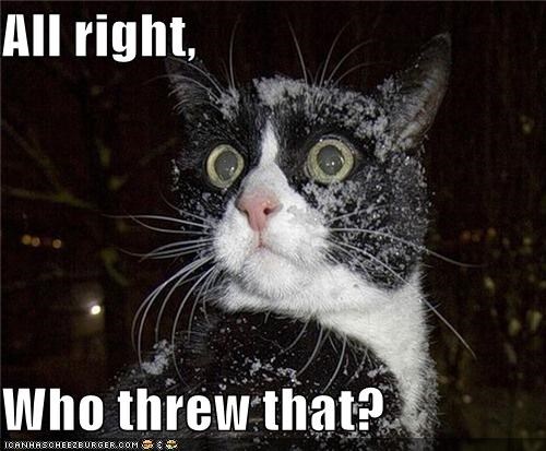 All right,  Who threw that?
