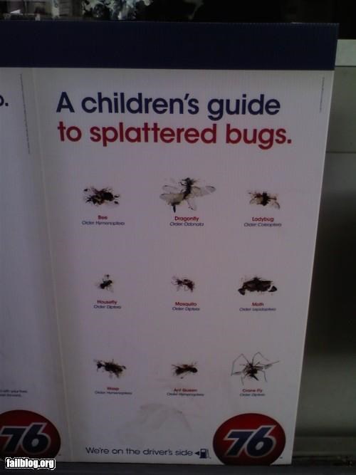 Oddly Specific: Children's Bug Chart