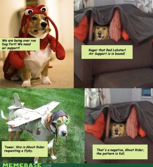 Dog Fort: Incoming!
