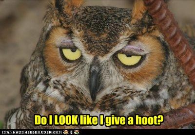 Do I LOOK like I give a hoot?