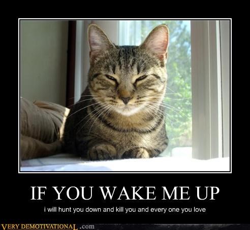 IF YOU WAKE ME UP