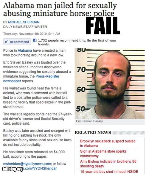 Mini-Horse FAIL