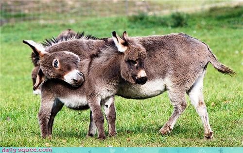 Daily Squee: I've Got Your Back 