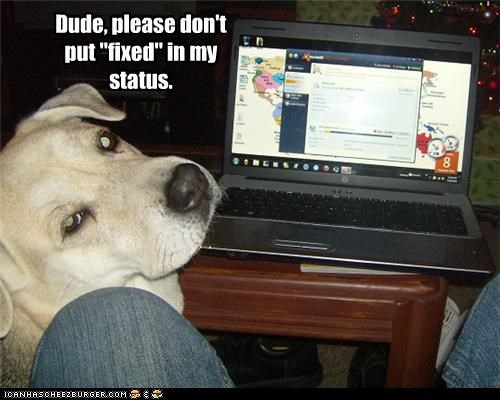 Dude, please don't  put "fixed" in my status.