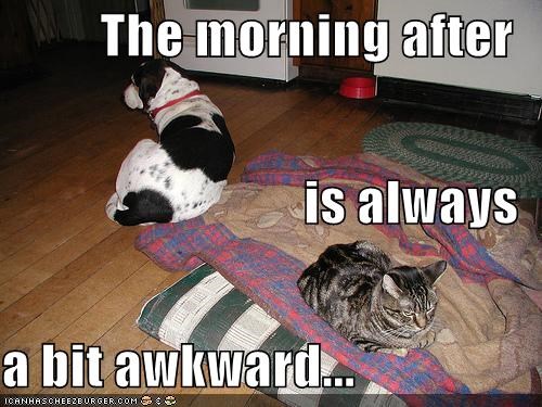 The morning after  is always  a bit awkward...