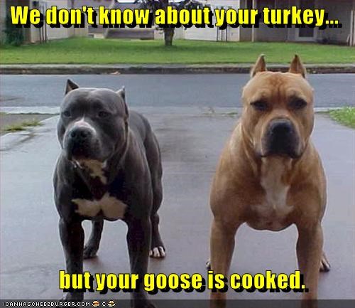 We don't know about your turkey... 
