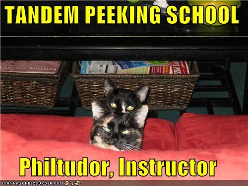 TANDEM PEEKING SCHOOL  Philtudor, Instructor
