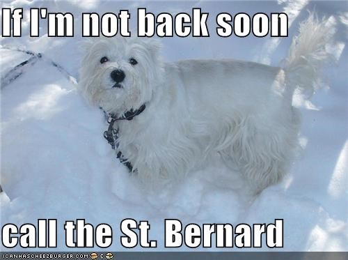 If I'm not back soon  call the St. Bernard