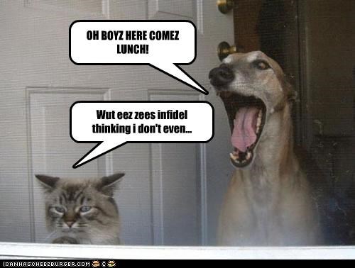 OH BOYZ HERE COMEZ LUNCH!