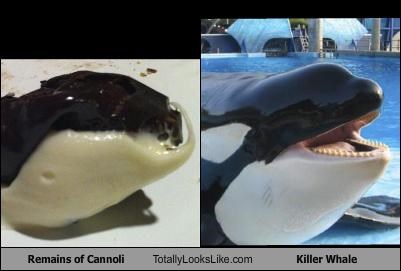 Remains of Cannoli Totally Looks Like Killer Whale