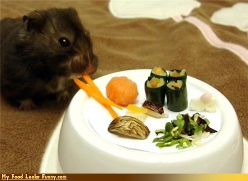 Funny Food Photos - Hamster Sushi