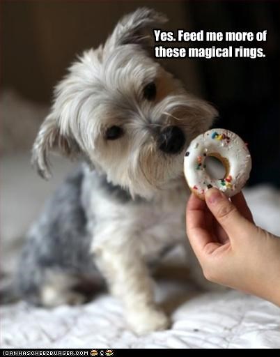 Magical Rings