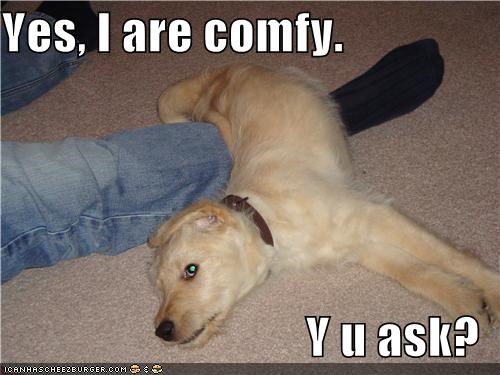 Yes, I are comfy.  Y u ask?