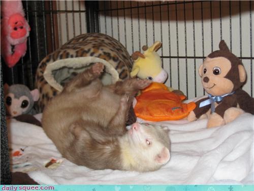 Reader Squee: Jasper Jax