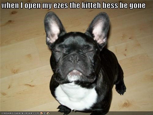 when I open my ezes the kitteh bess be gone