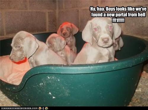 Ha, haa. Boys looks like we've found a new portal from hell !!!1!!!!!