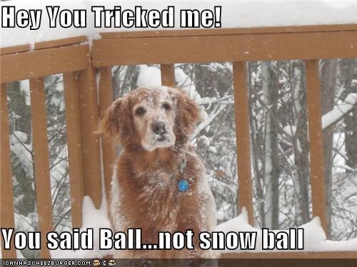 Hey You Tricked me!  You said Ball...not snow ball