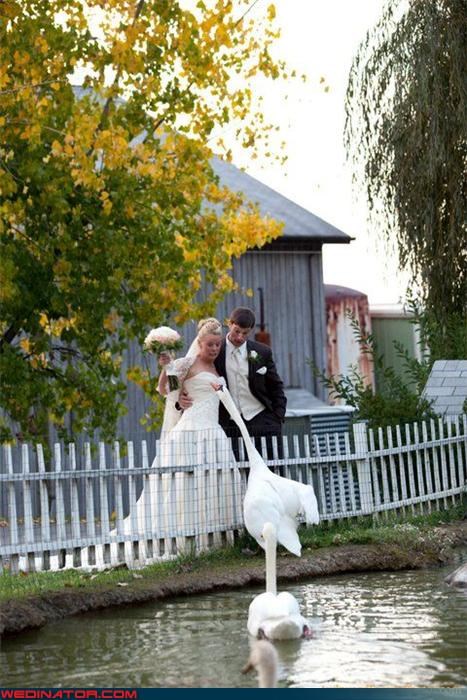 Awkward Wedding Photos