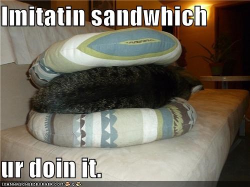Imitatin sandwhich  ur doin it.