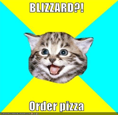 Happy Kitten: BLIZZARD?!