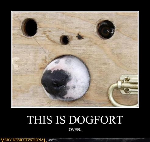 THIS IS DOGFORT