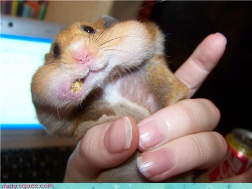 Reader Squee: Reaching Maximum Capacity