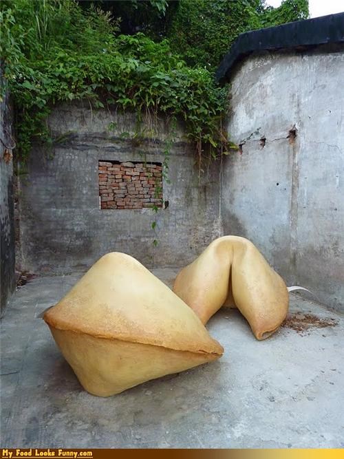 Funny Food Photos - Giant Fortune Cookies