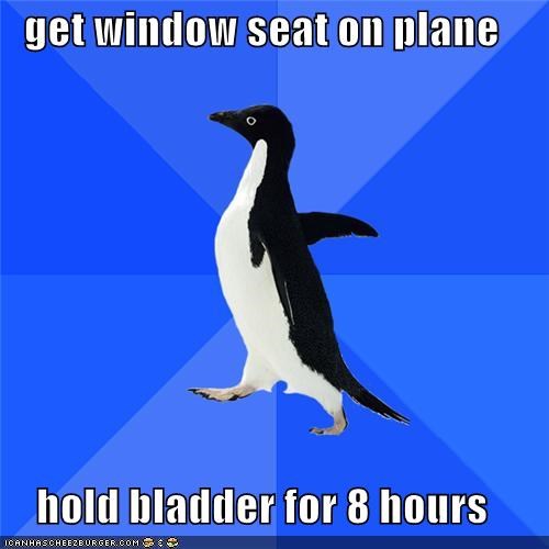 Socially Awkward Penguin: Travel