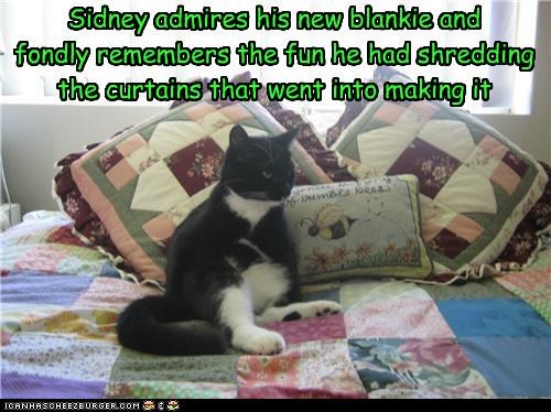Sidney admires his new blankie
