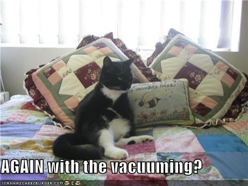 AGAIN with the vacuuming?
