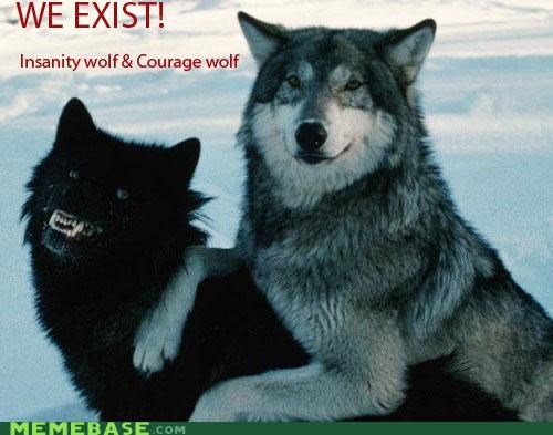 The Internet IRL: Insanity Wolf & Courage Wolf 