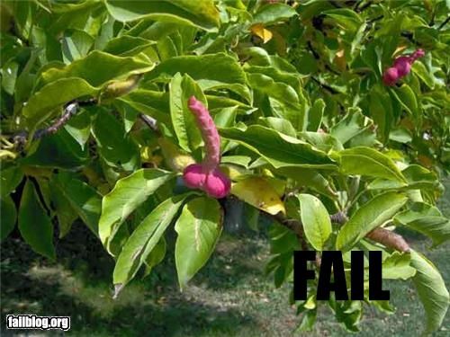 Flower FAIL